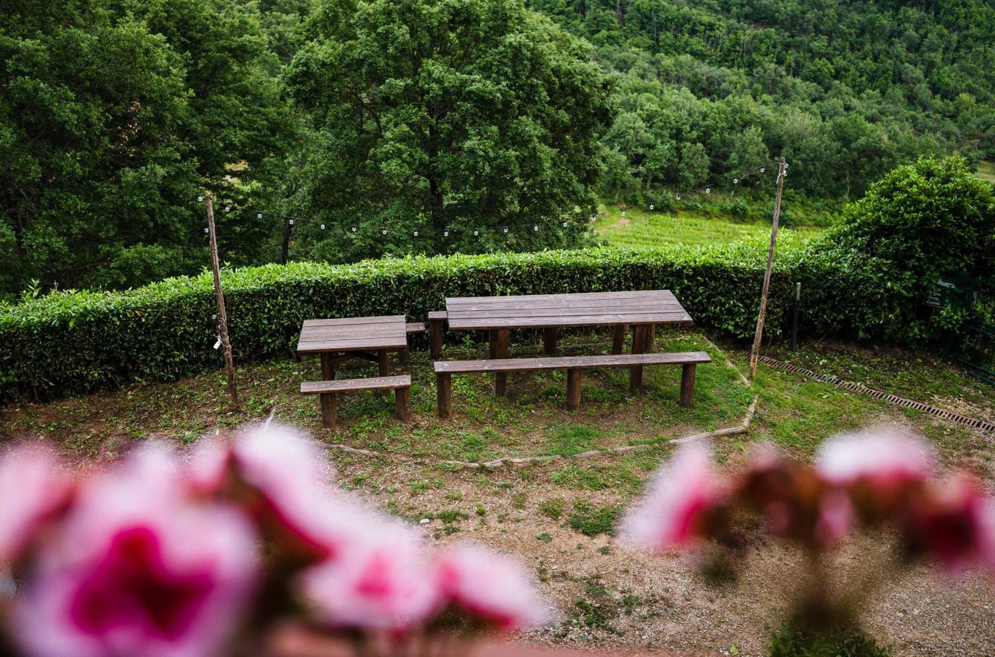 Rifugium ξενώνας Greve in Chianti Εξωτερικό φωτογραφία