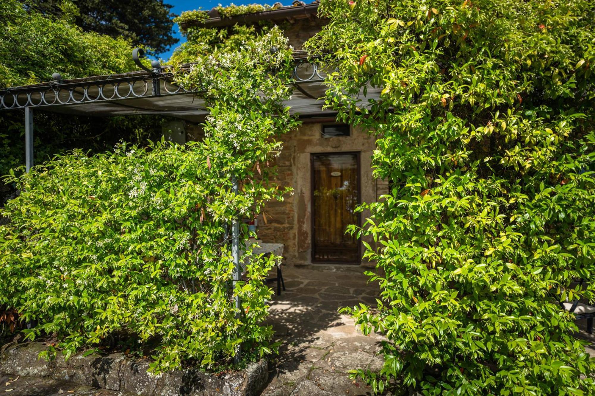 Rifugium ξενώνας Greve in Chianti Εξωτερικό φωτογραφία